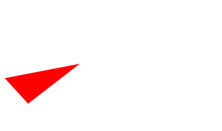 Die Linke - BAG Demokratische Linke-Logo