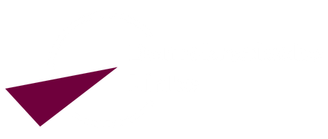 Die Linke - BAG Demokratische Linke Logo